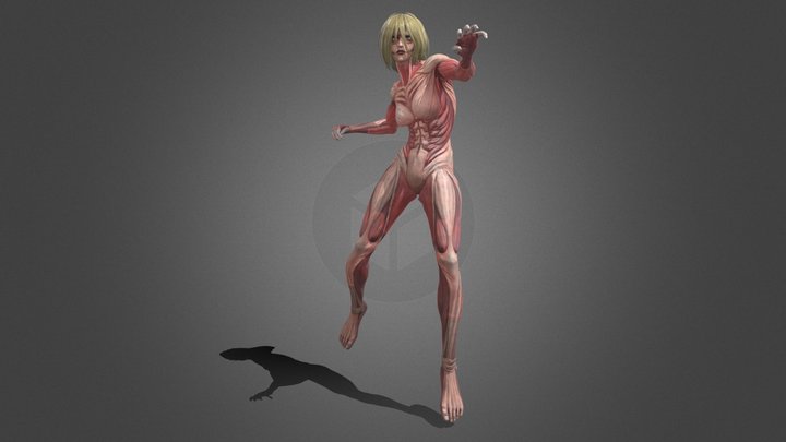 Female Titan 3D Model